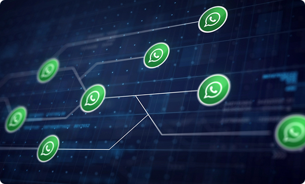 WhatsApp & Omnichannel Commerce